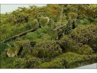 Model Scene f801 minidiorama lesní prameniště 29x19cm