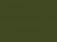 Agama b1m barva emailová tmavá zelená