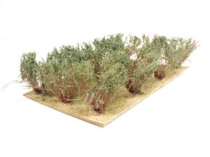 keře vysoké tmavě zelené Bezucha Roman 1104