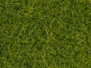 divoká tráva XL světle zelená 12 mm 40g Noch 07112