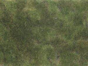 půdopokryvná foliáž středně olivově zelná Noch 07251