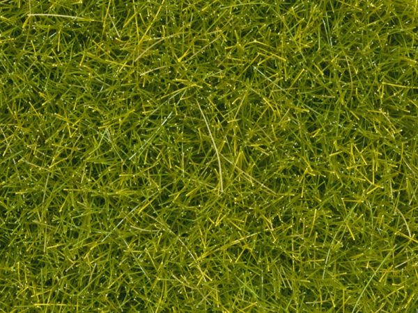 divoká tráva 4 mm světle zelená Noch 08363