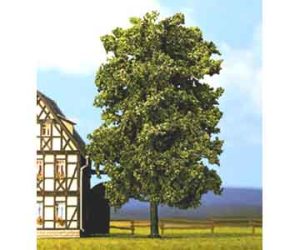 lípa Noch 21780