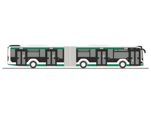 MAN Lions City 18 18 Magdeburger Rietze 75872