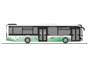 MAN Lions City 12 18 DB Regio Bus Mitte - NVV Rietze 75415
