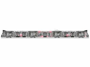 Siemens Combino VAG Freiburg – BÖ Schuhe Rietze STRA01109