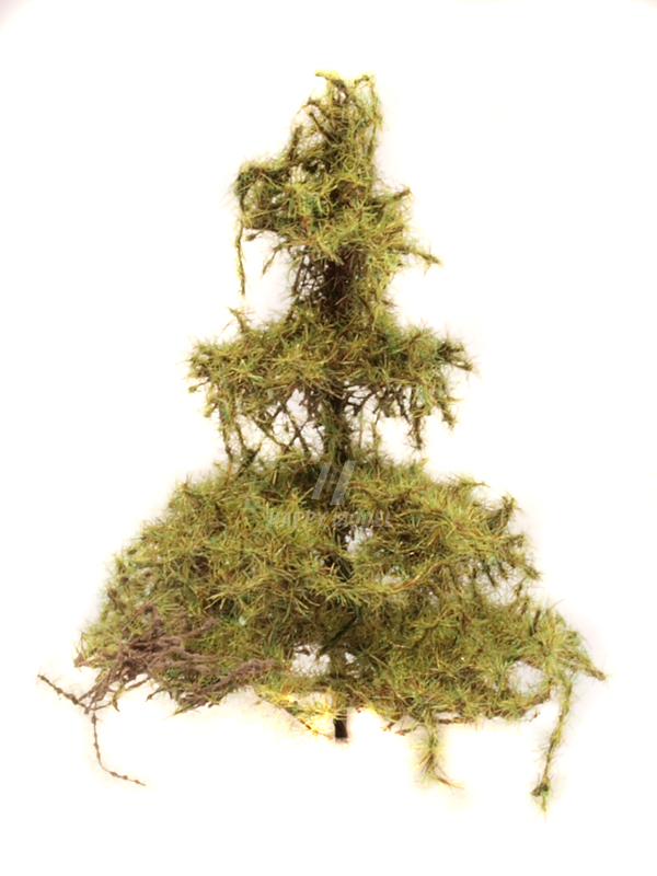 modřín 5cm Bezucha Roman 1029-1