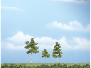 bříza 3 ks Woodland Scenics TR1605