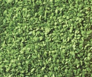 olistění sv.zelené 50g Noch 07142