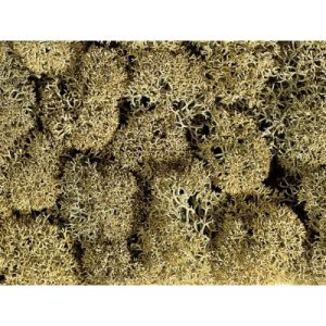 islandský mech šedý 35g Noch 08600