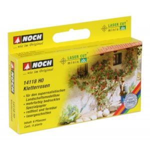 popínavá růže Noch 14118