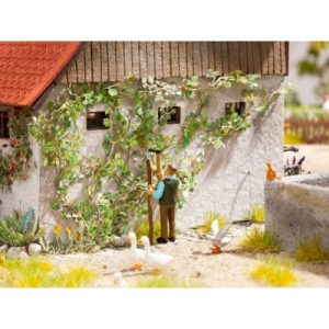 psí víno Noch 14132