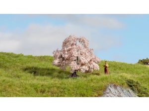 rozkvetlá třešeň Noch 20147