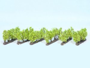 vinná réva 24ks Noch 21545