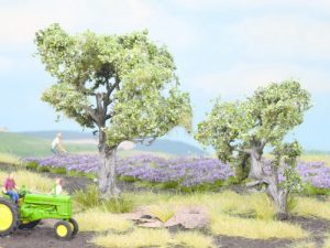 olivovník 2ks Noch 21995