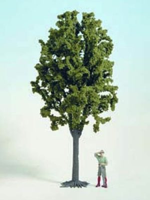 strom listnatý Noch 68030