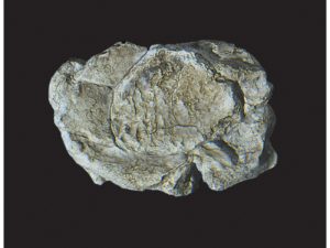 forma na skalní stěny Woodland Scenics C1237