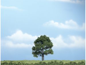 dub 1 ks Woodland Scenics TR1606