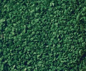 olistění středně zelené 50g Noch 07144