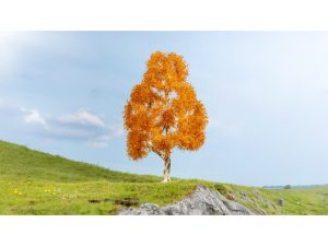 podzimní bříza Noch 20129