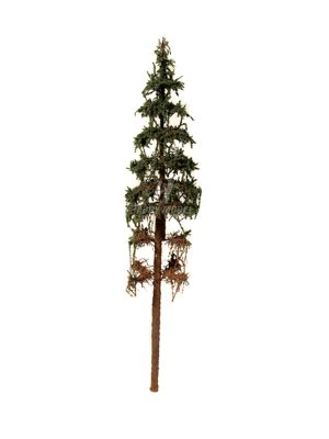 smrk s kmenem 23cm bez 1030