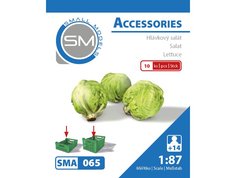 hlávkový salát (10ks) sma 065